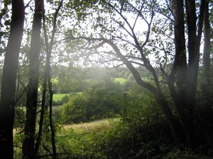 CTF-Aschberg 009